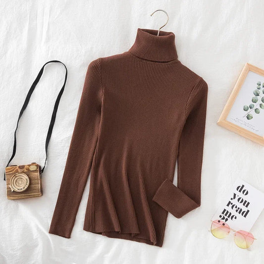 SLIM KNIT BROWN TURTLENECK SWEATER